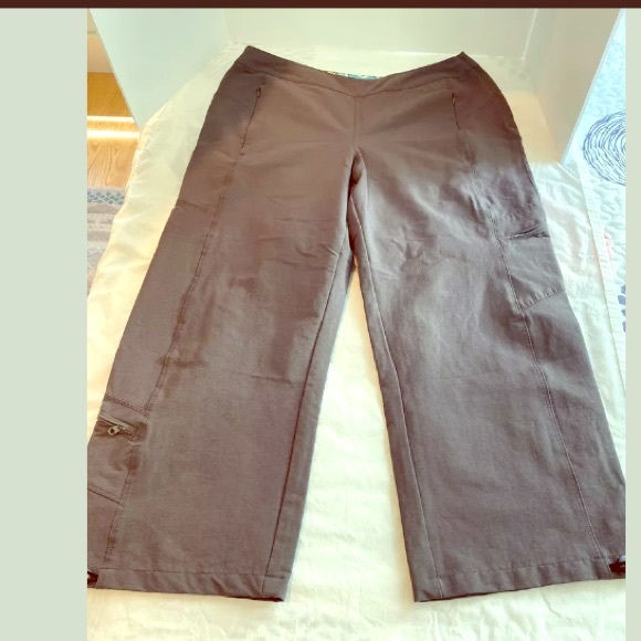 Title Nine pants, brown size 8 - Picture 1 of 7